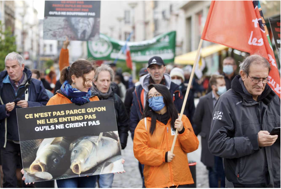 Demonstrations against Pure Salmon in France